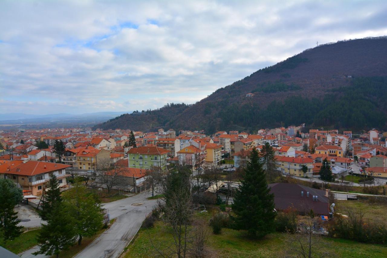 King Alexander Hotel Florina Bagian luar foto