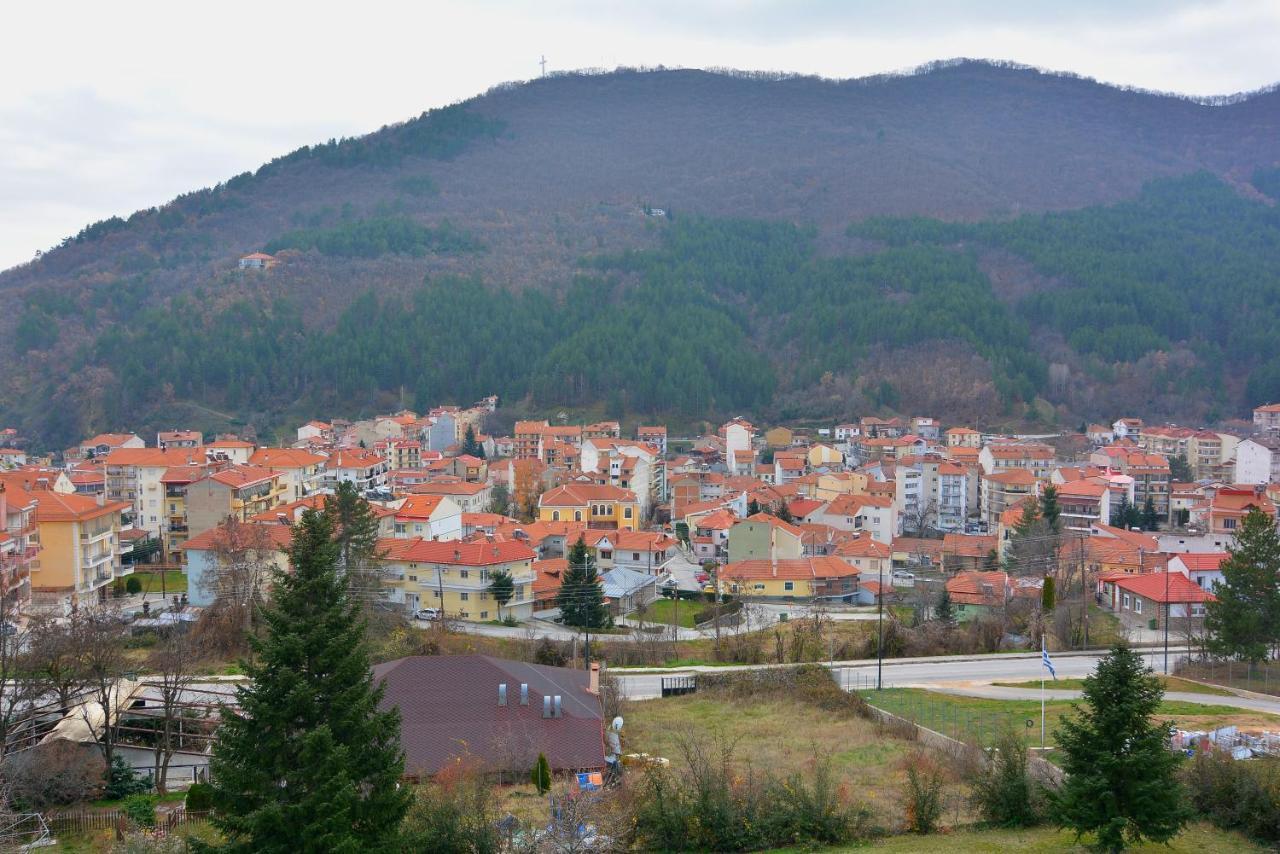 King Alexander Hotel Florina Bagian luar foto