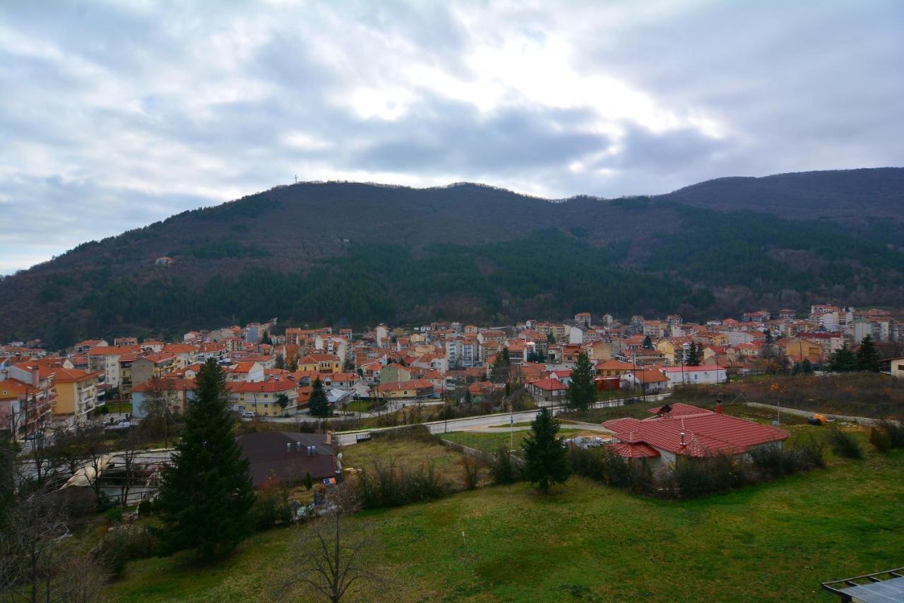 King Alexander Hotel Florina Bagian luar foto