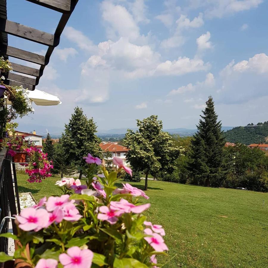 King Alexander Hotel Florina Bagian luar foto
